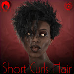 IC - Short Curls Hair